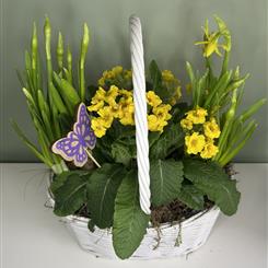 Spring Planted Basket