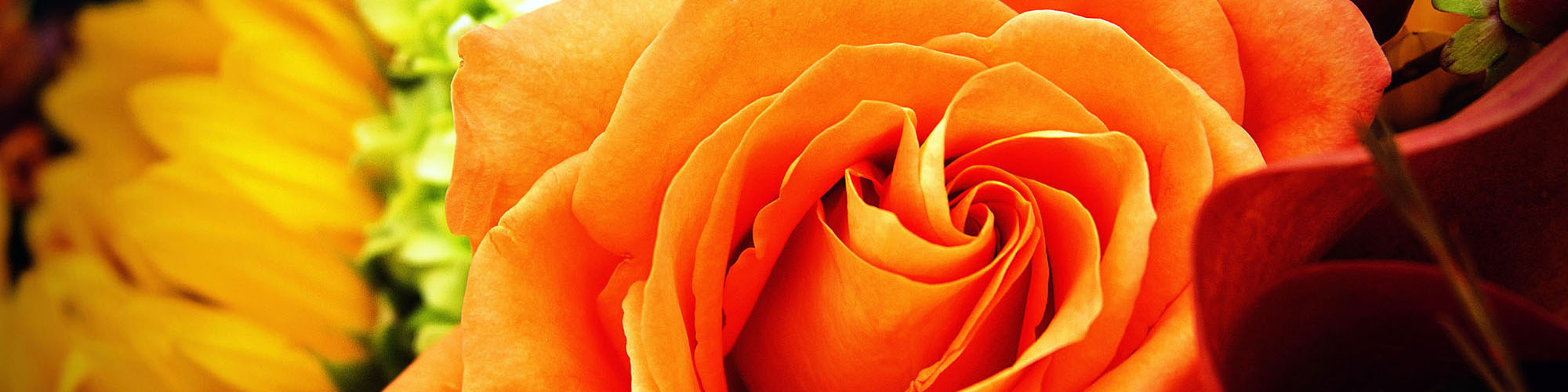 Pretty Little Petals Florist