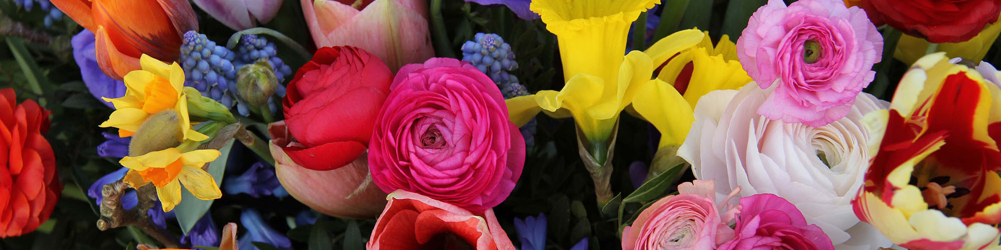 Pretty Little Petals Florist